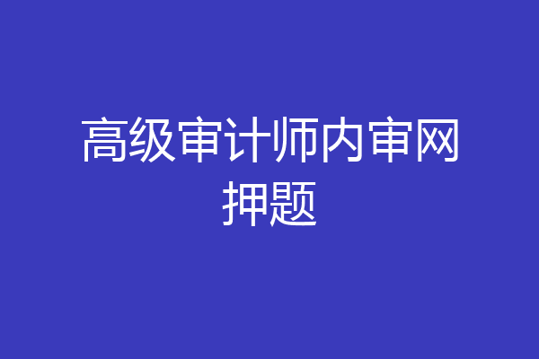 高级审计师内审网押题