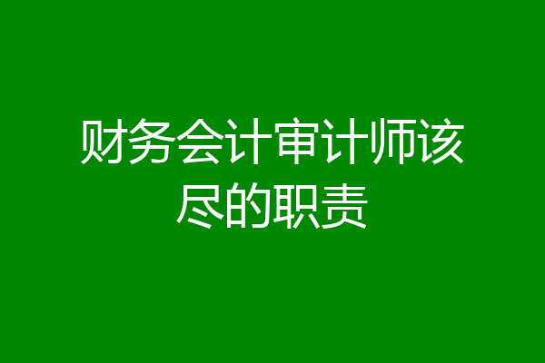 财务会计审计师该尽的职责