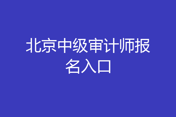 北京中级审计师报名入口