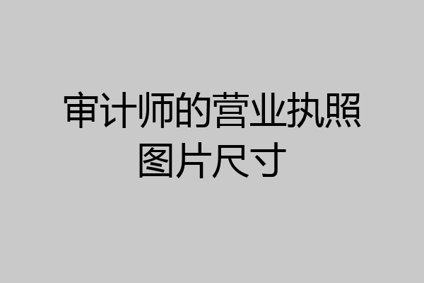 审计师的营业执照图片尺寸