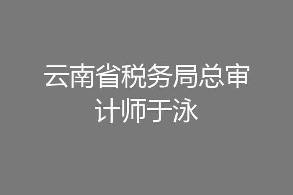 云南省税务局总审计师于泳