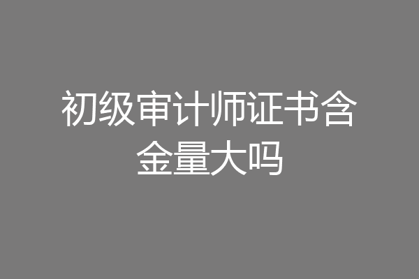 初级审计师证书含金量大吗
