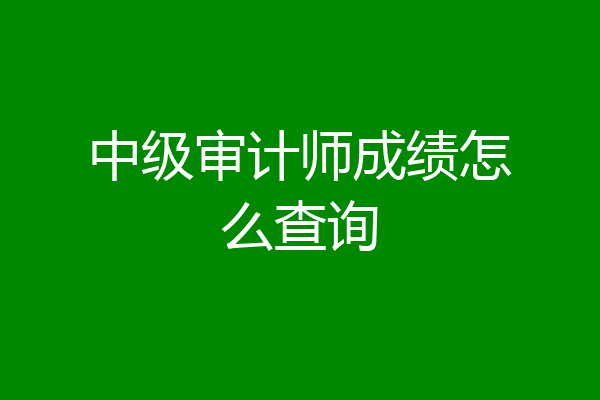 中级审计师成绩怎么查询
