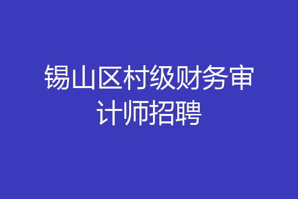 锡山区村级财务审计师招聘
