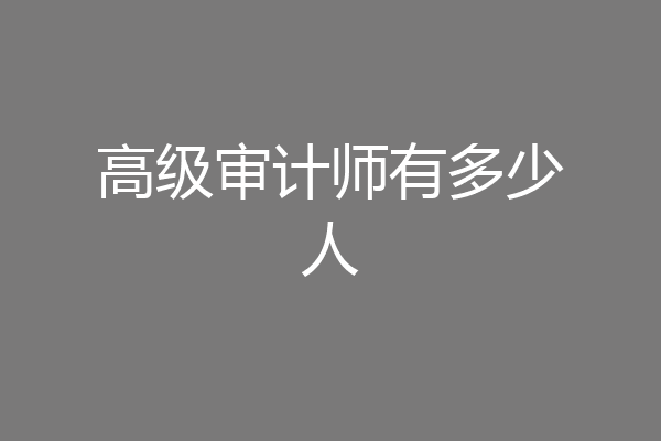 高级审计师有多少人