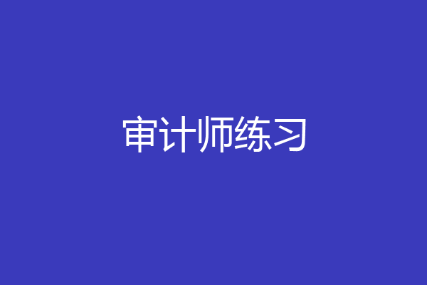 审计师练习