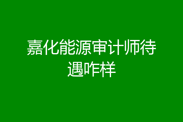 嘉化能源审计师待遇咋样