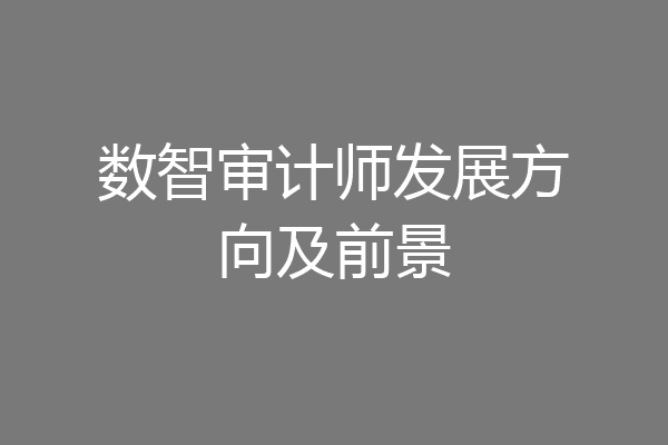 数智审计师发展方向及前景