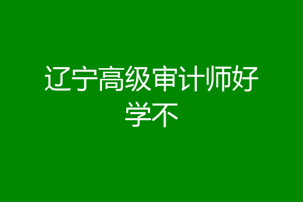 辽宁高级审计师好学不