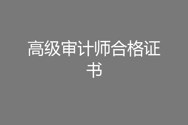 高级审计师合格证书