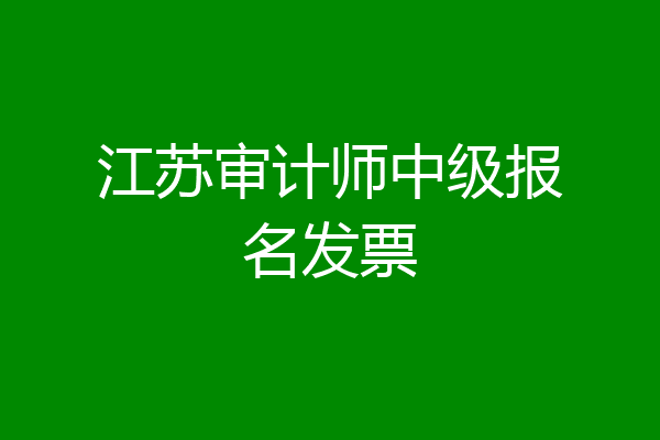 江苏审计师中级报名发票