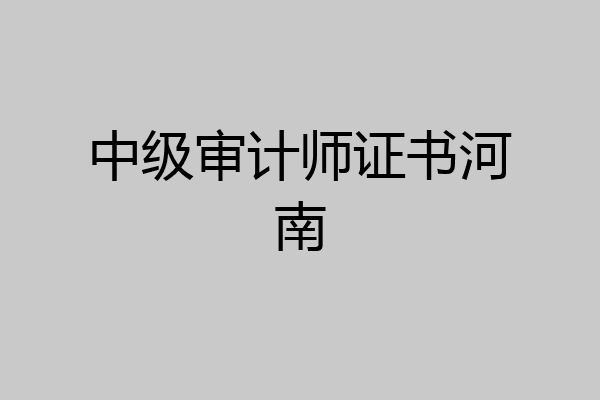 中级审计师证书河南