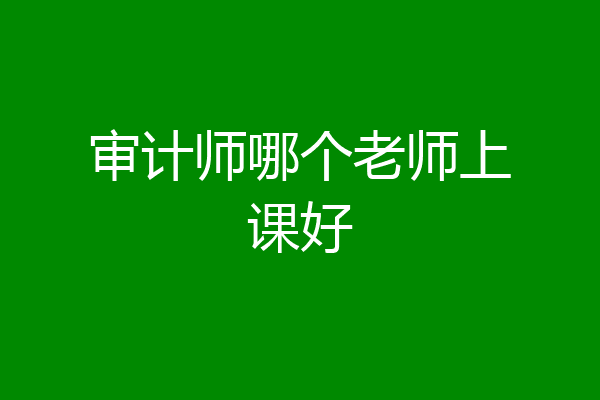 审计师哪个老师上课好