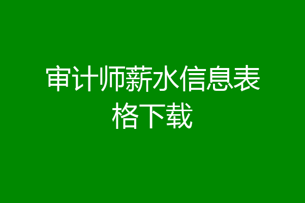 审计师薪水信息表格下载