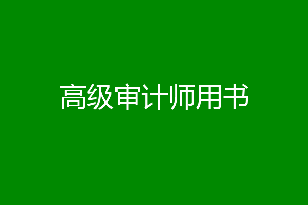 高级审计师用书