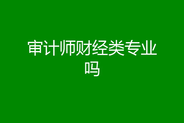审计师财经类专业吗