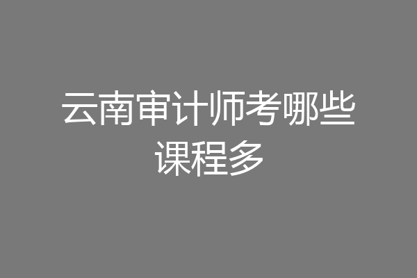 云南审计师考哪些课程多