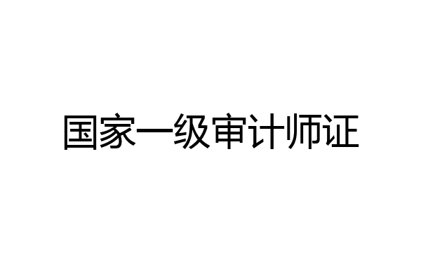 国家一级审计师证