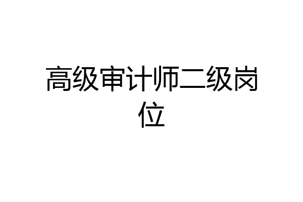 高级审计师二级岗位