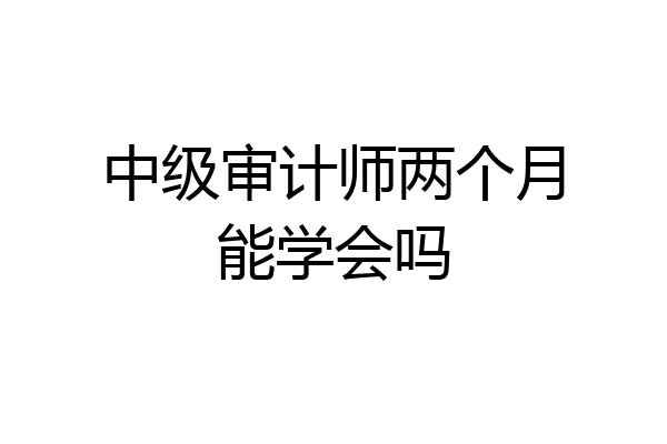 中级审计师两个月能学会吗