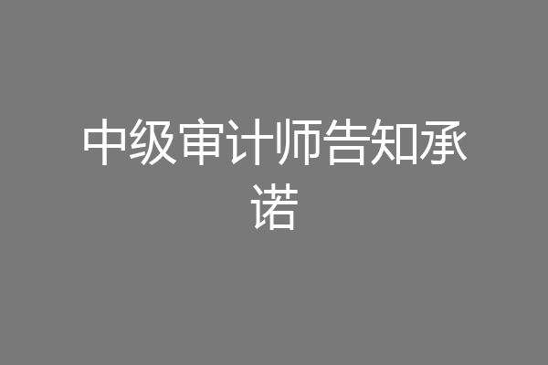 中级审计师告知承诺