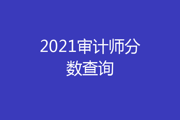 2021审计师分数查询