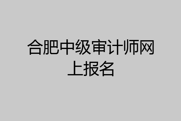 合肥中级审计师网上报名