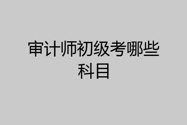 审计师初级考哪些科目