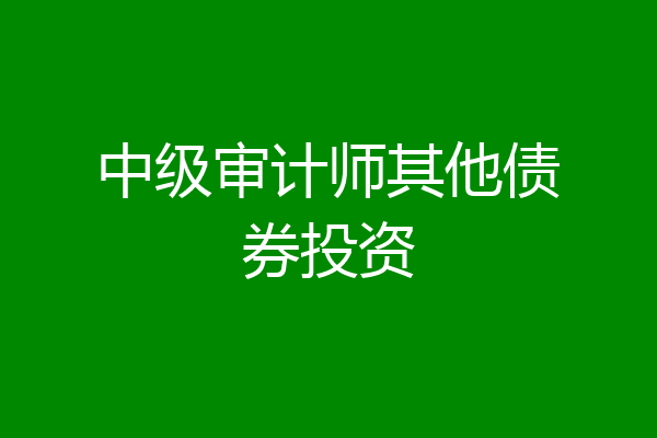 中级审计师其他债券投资