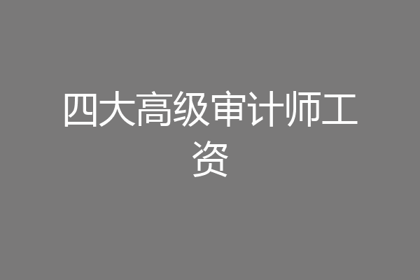 四大高级审计师工资