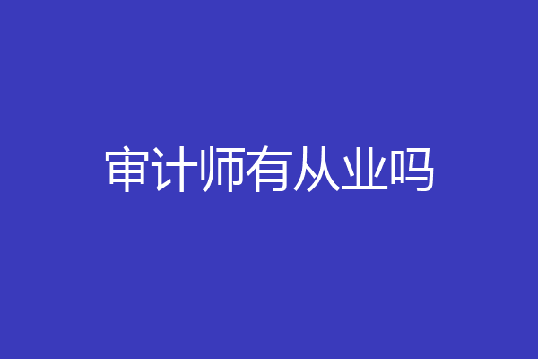 审计师有从业吗