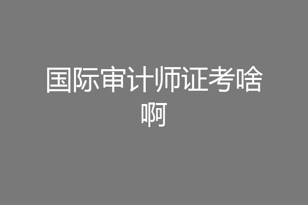 国际审计师证考啥啊