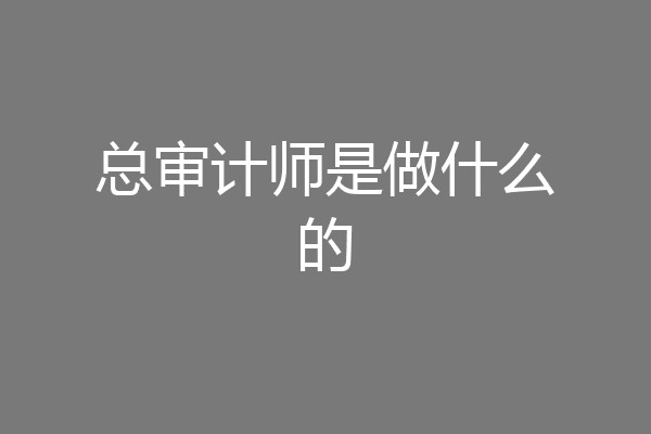 总审计师是做什么的