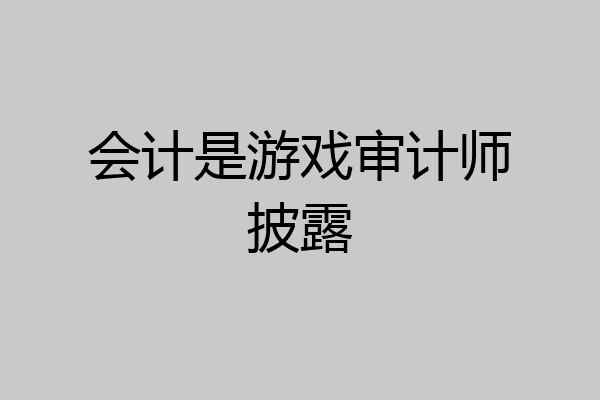 会计是游戏审计师披露