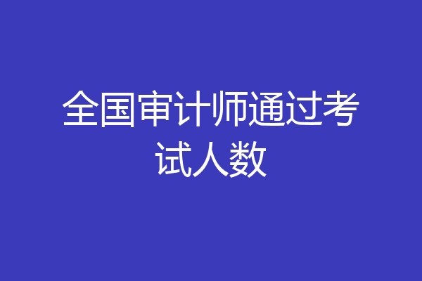 全国审计师通过考试人数