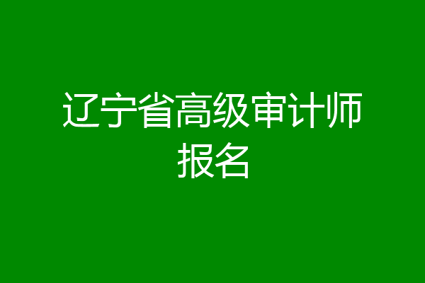 辽宁省高级审计师报名