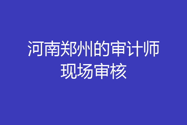 河南郑州的审计师现场审核