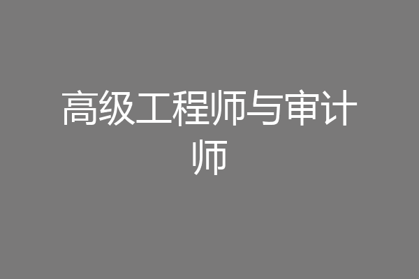 高级工程师与审计师