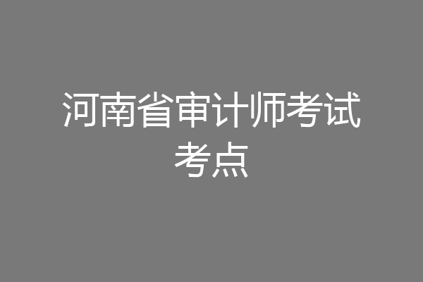 河南省审计师考试考点