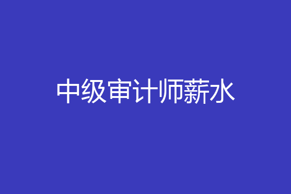 中级审计师薪水