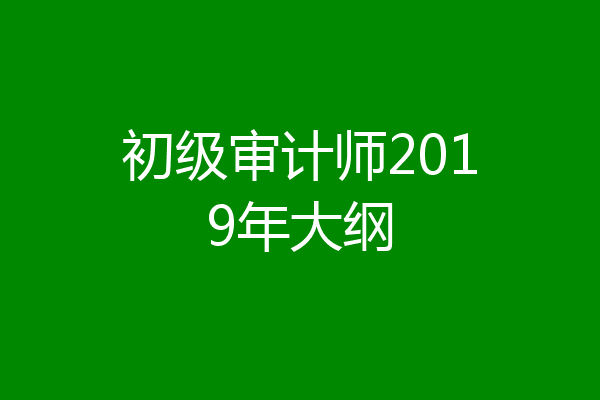 初级审计师2019年大纲