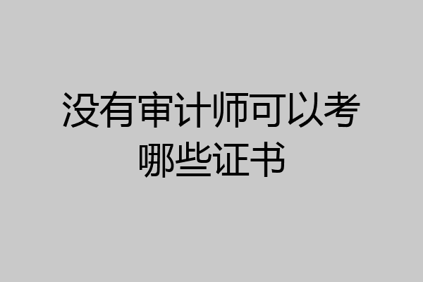 没有审计师可以考哪些证书
