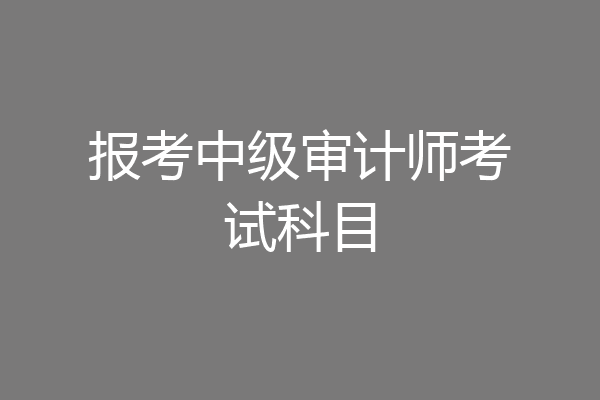 报考中级审计师考试科目