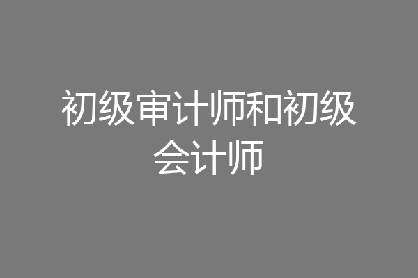 初级审计师和初级会计师