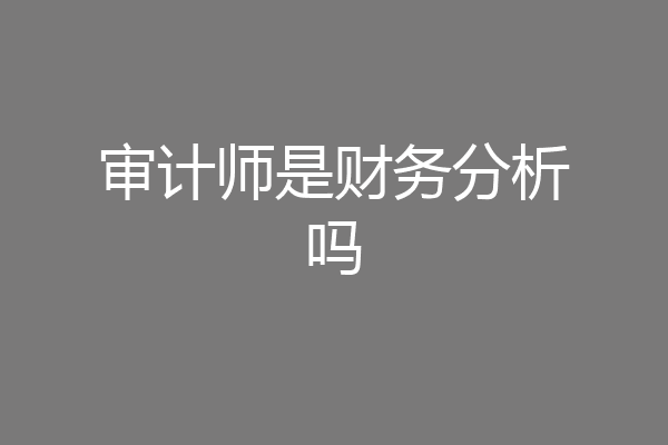 审计师是财务分析吗