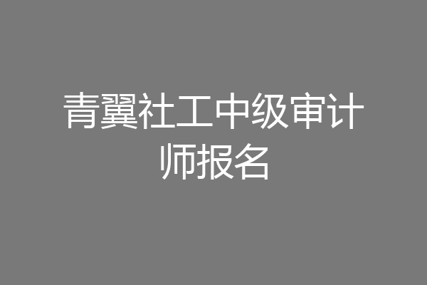 青翼社工中级审计师报名