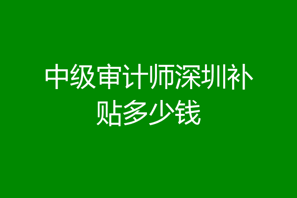 中级审计师深圳补贴多少钱