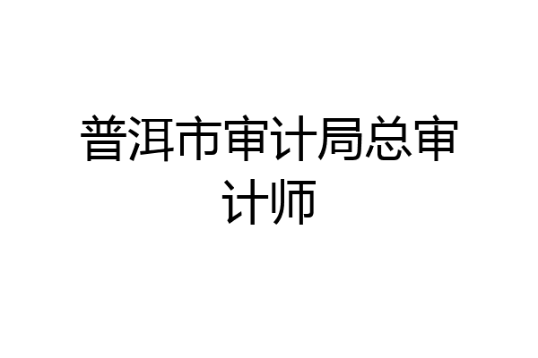 普洱市审计局总审计师