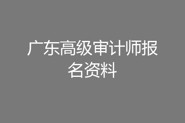 广东高级审计师报名资料