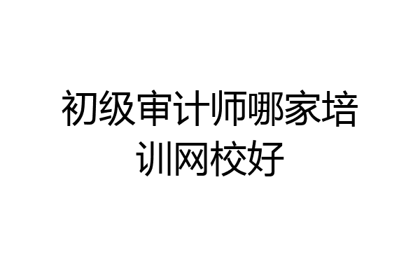 初级审计师哪家培训网校好